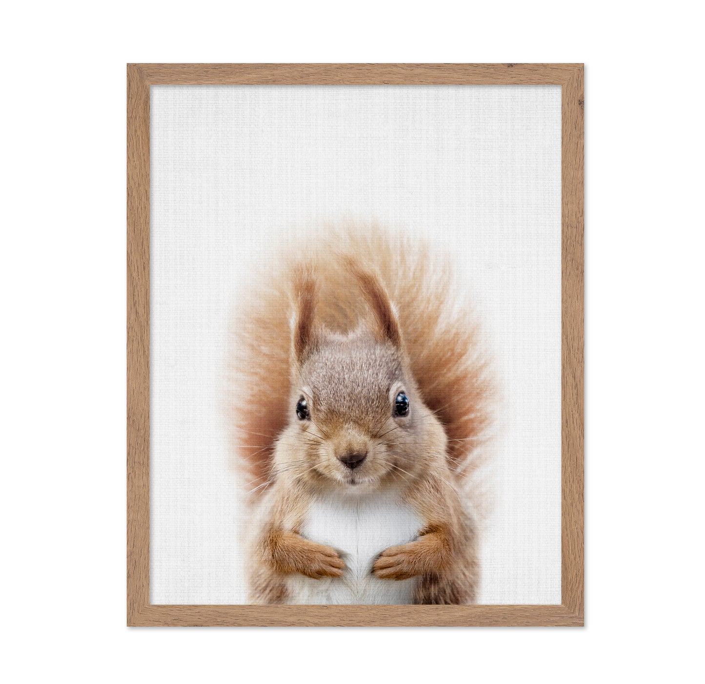 Peekaboo Squirrel