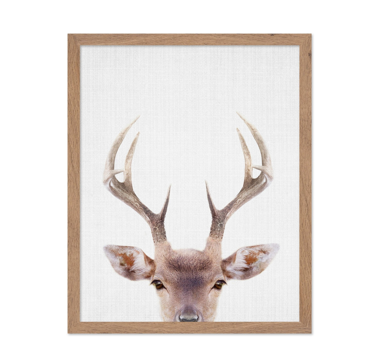Peekaboo Deer