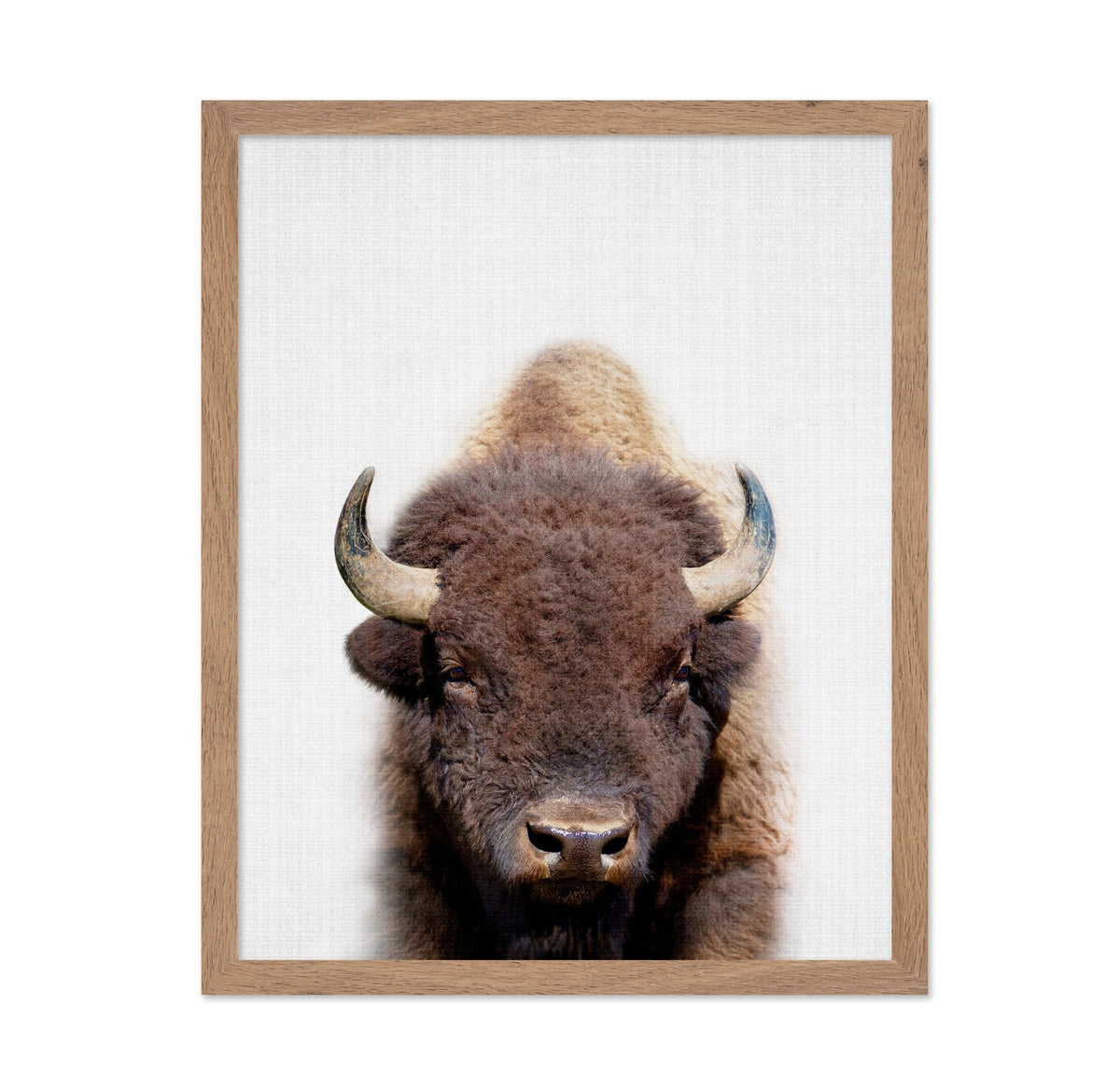 Peekaboo Bison
