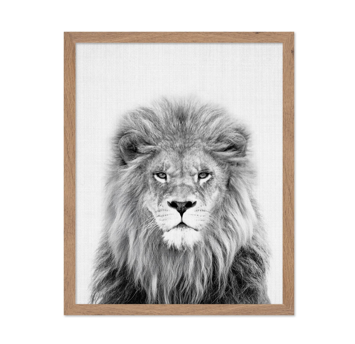 Black a White Peekaboo Lion