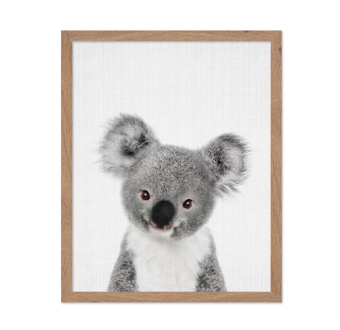 Peekaboo Baby Koala