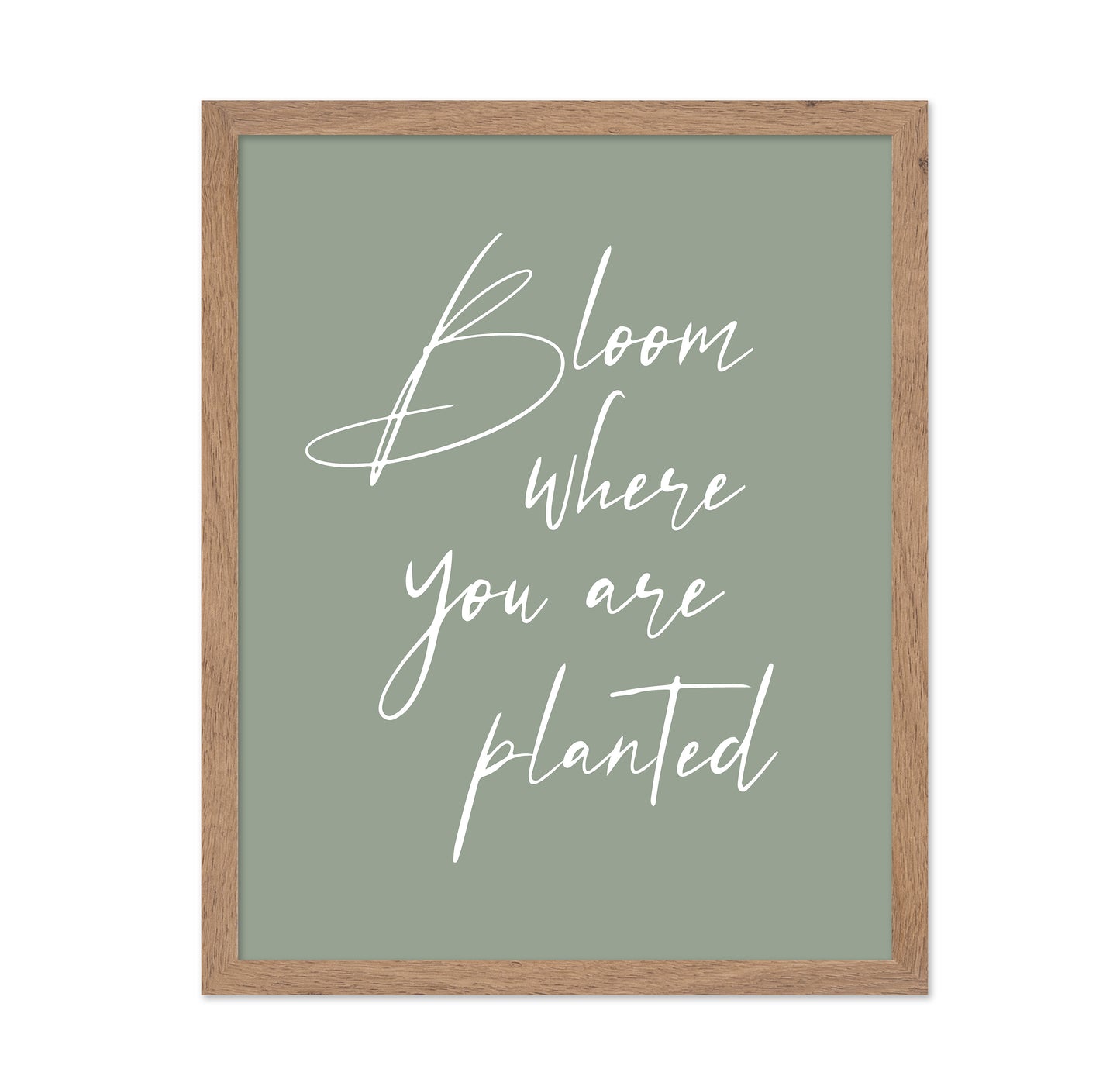 Bloom where Planted No1