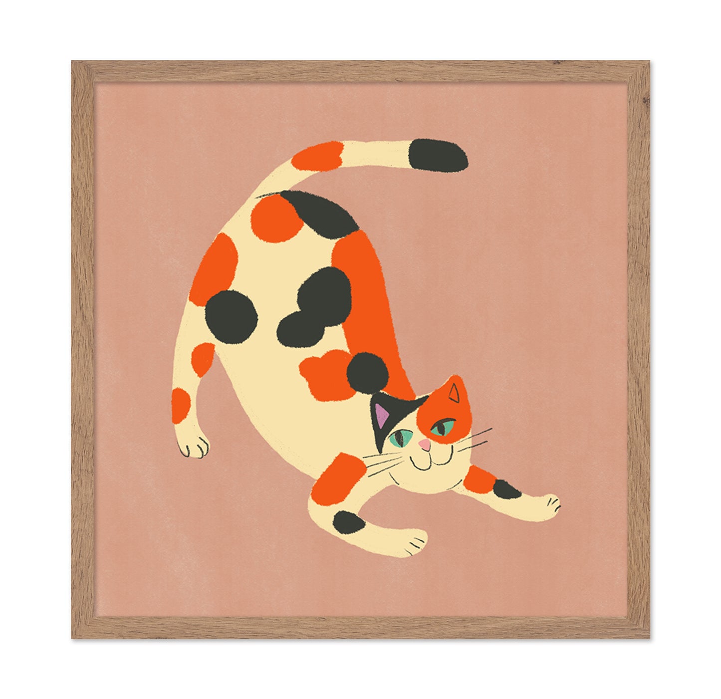 Playful Calico Cat