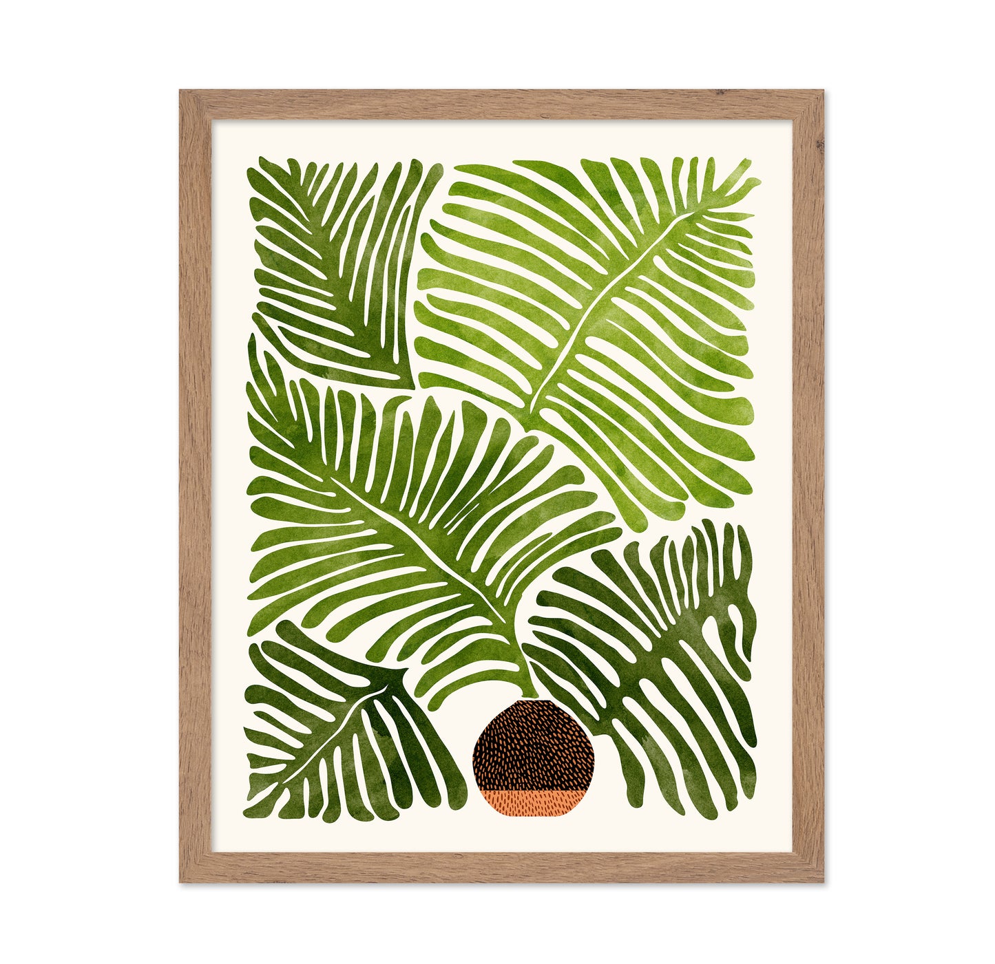 Summer Fern