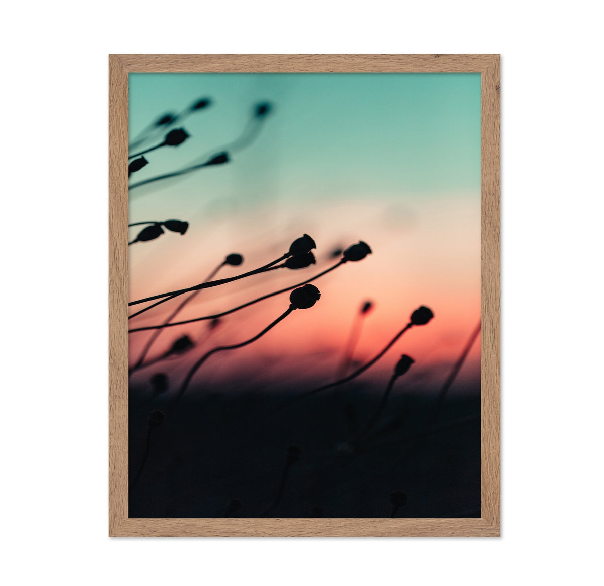 Silhouettes at Dusk