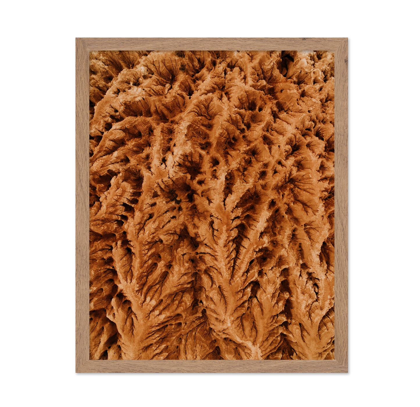 Earthly Textures
