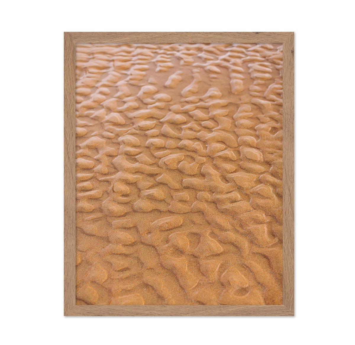 Rippled Sandscape