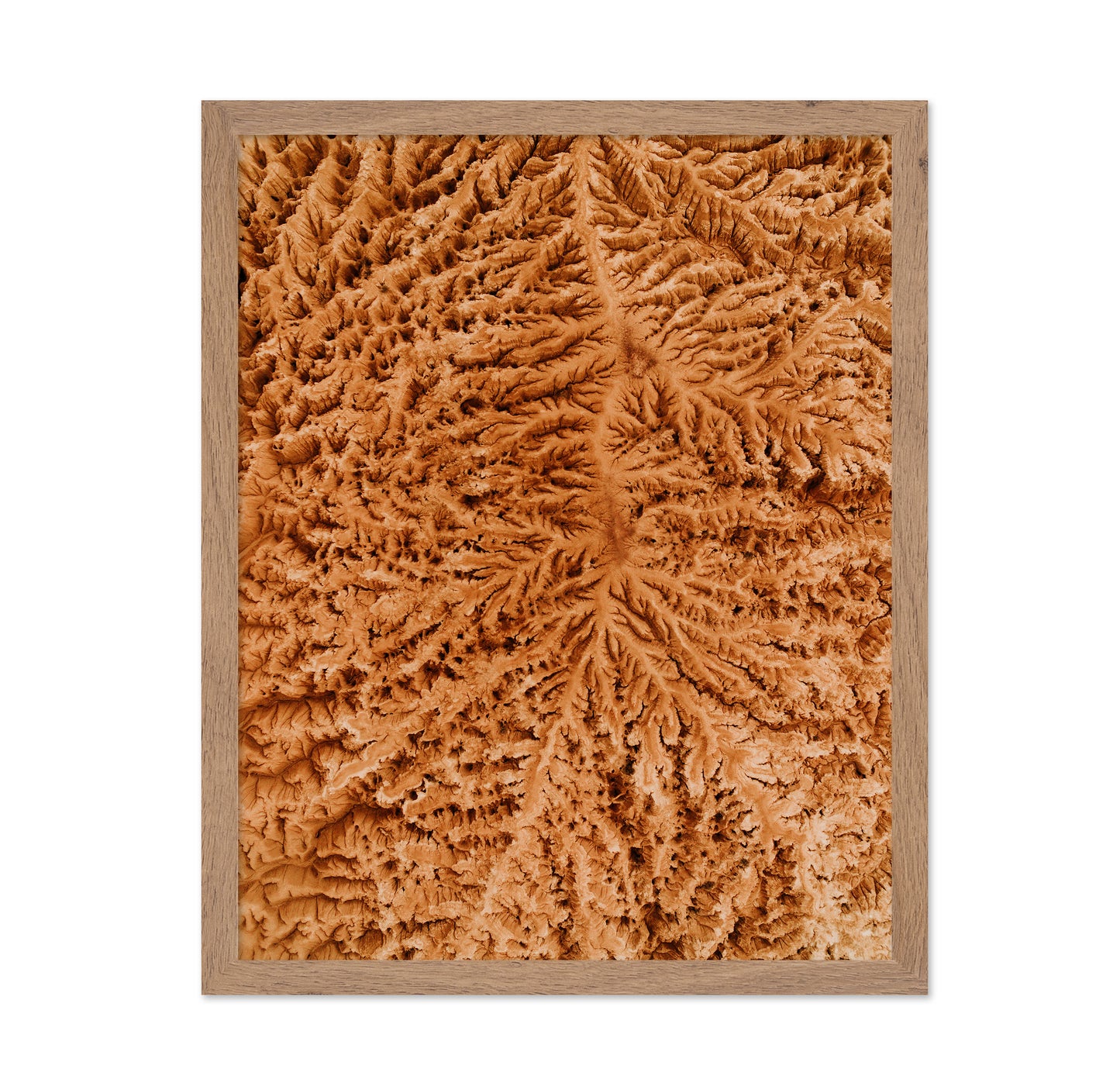 Rugged Earth Veins