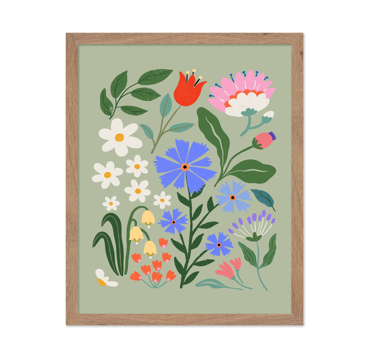 Cornflower Meadow