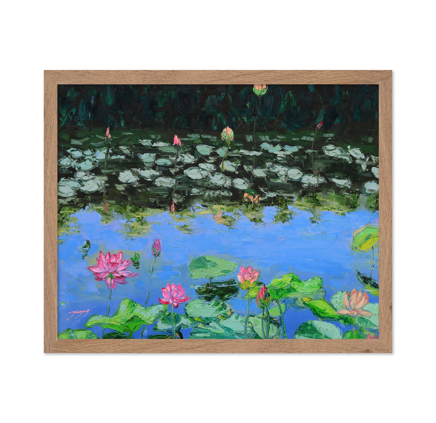 Pink Lotus Lilies in a Pond