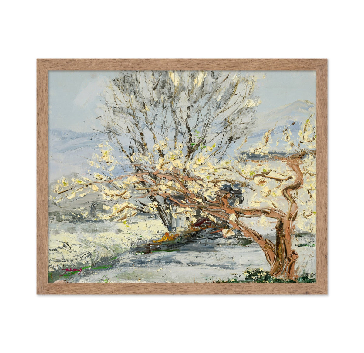 Pear Tree Flower Landscape