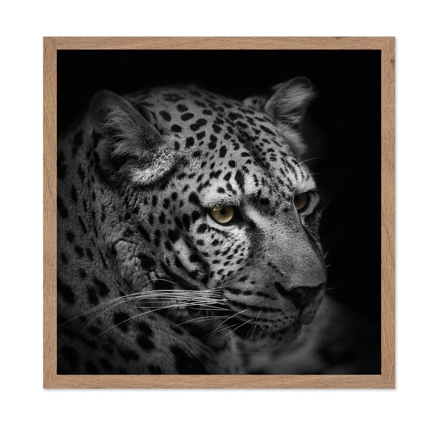 Monochrome Hunter