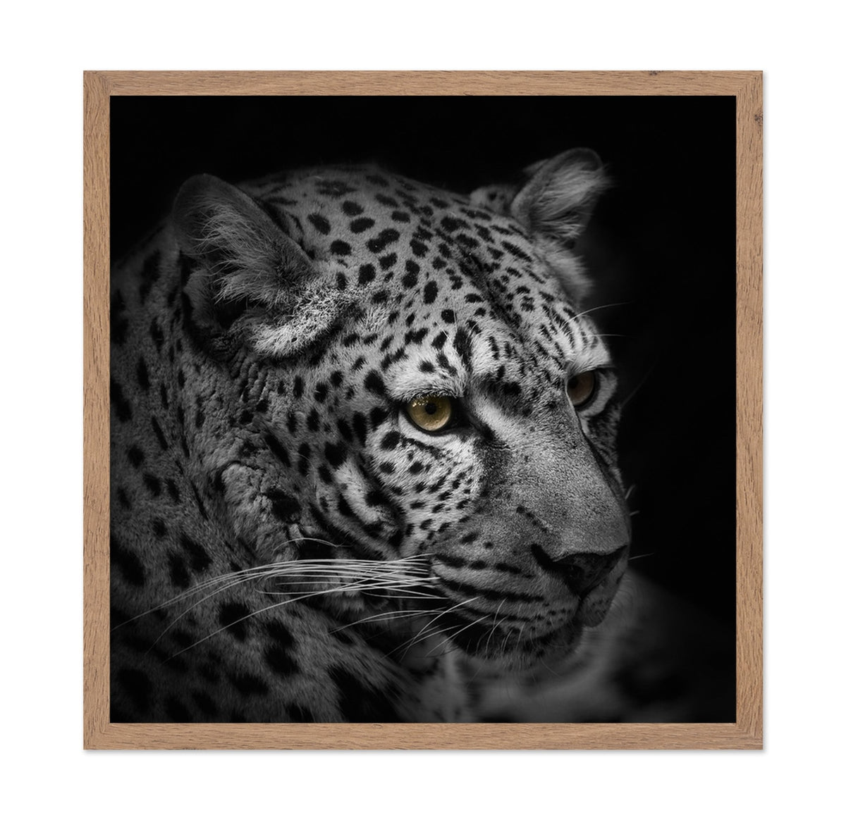 Monochrome Hunter