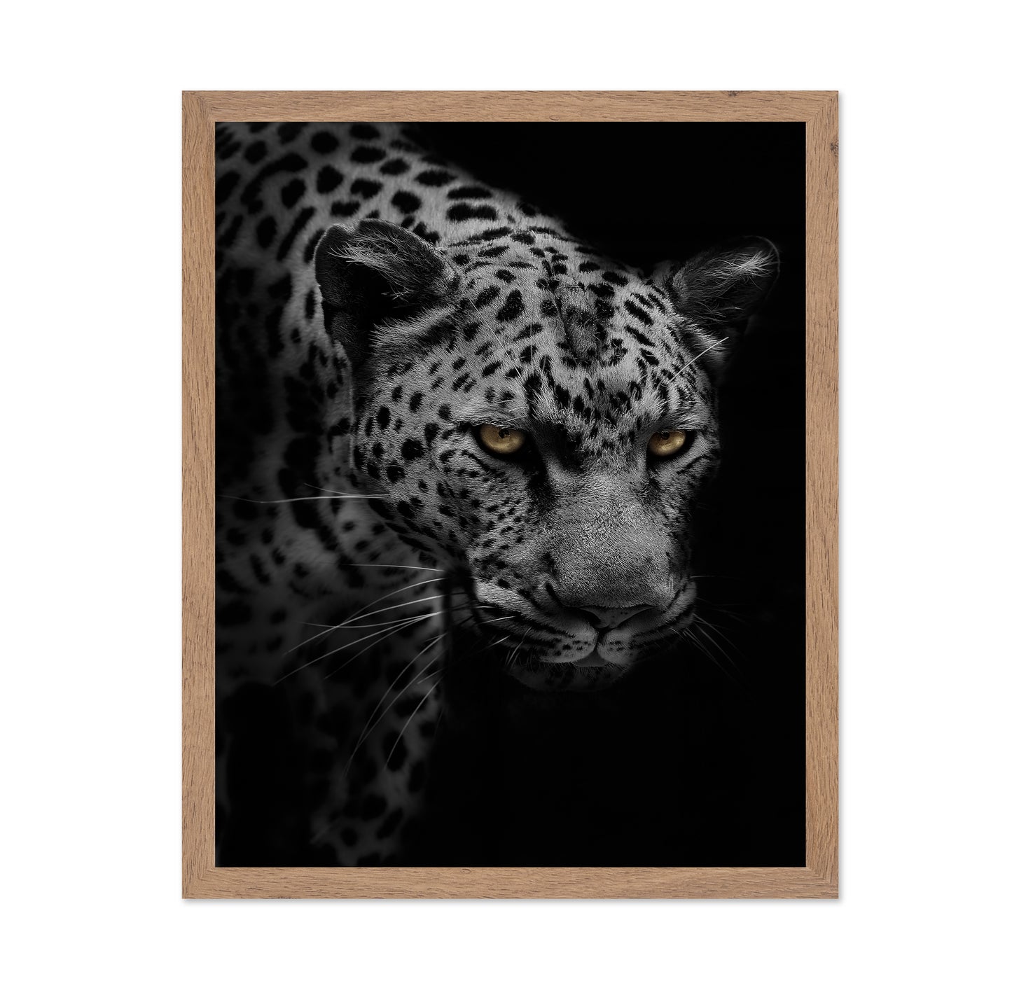 Portrait of Leopard