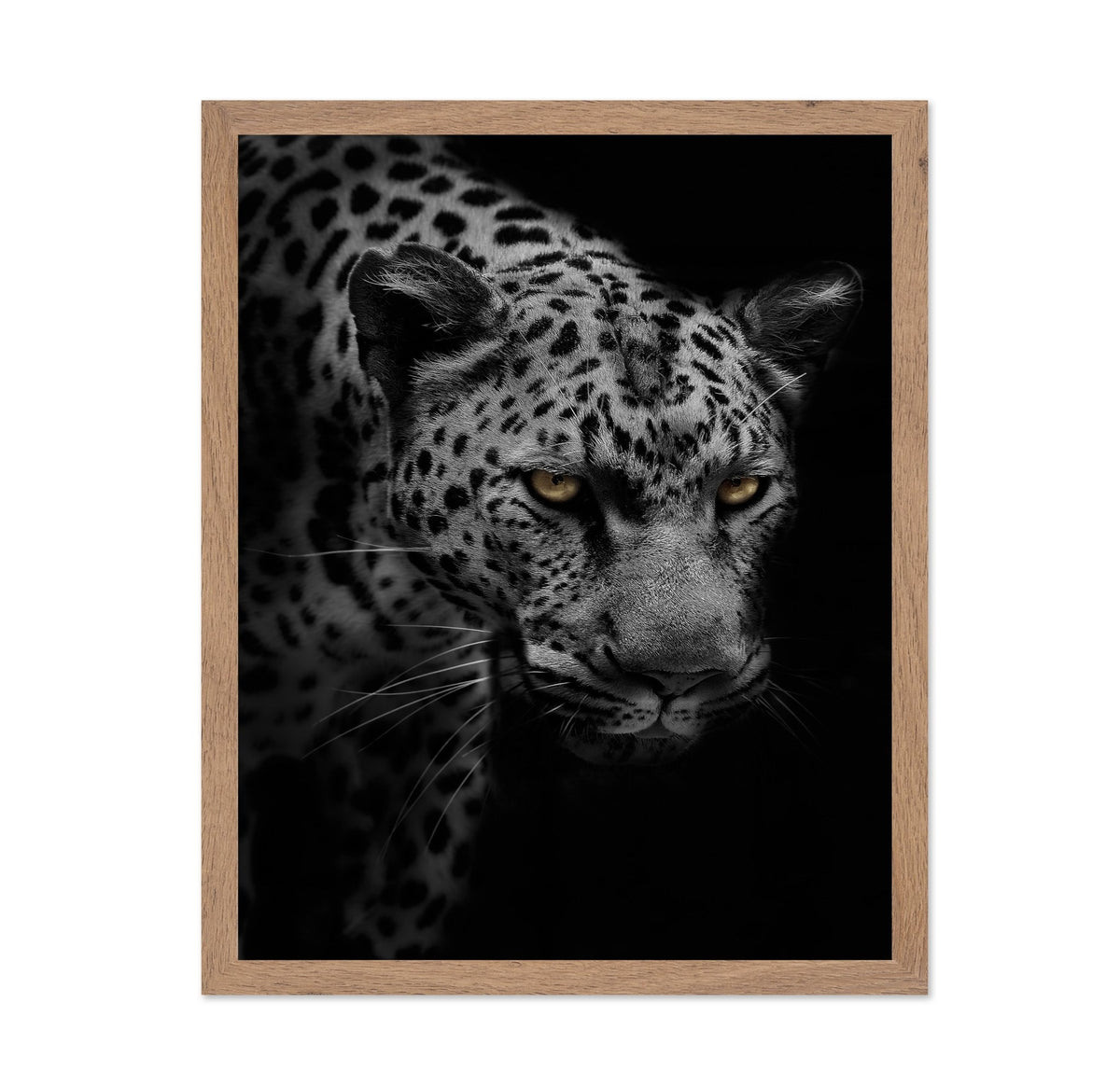 Portrait of Leopard