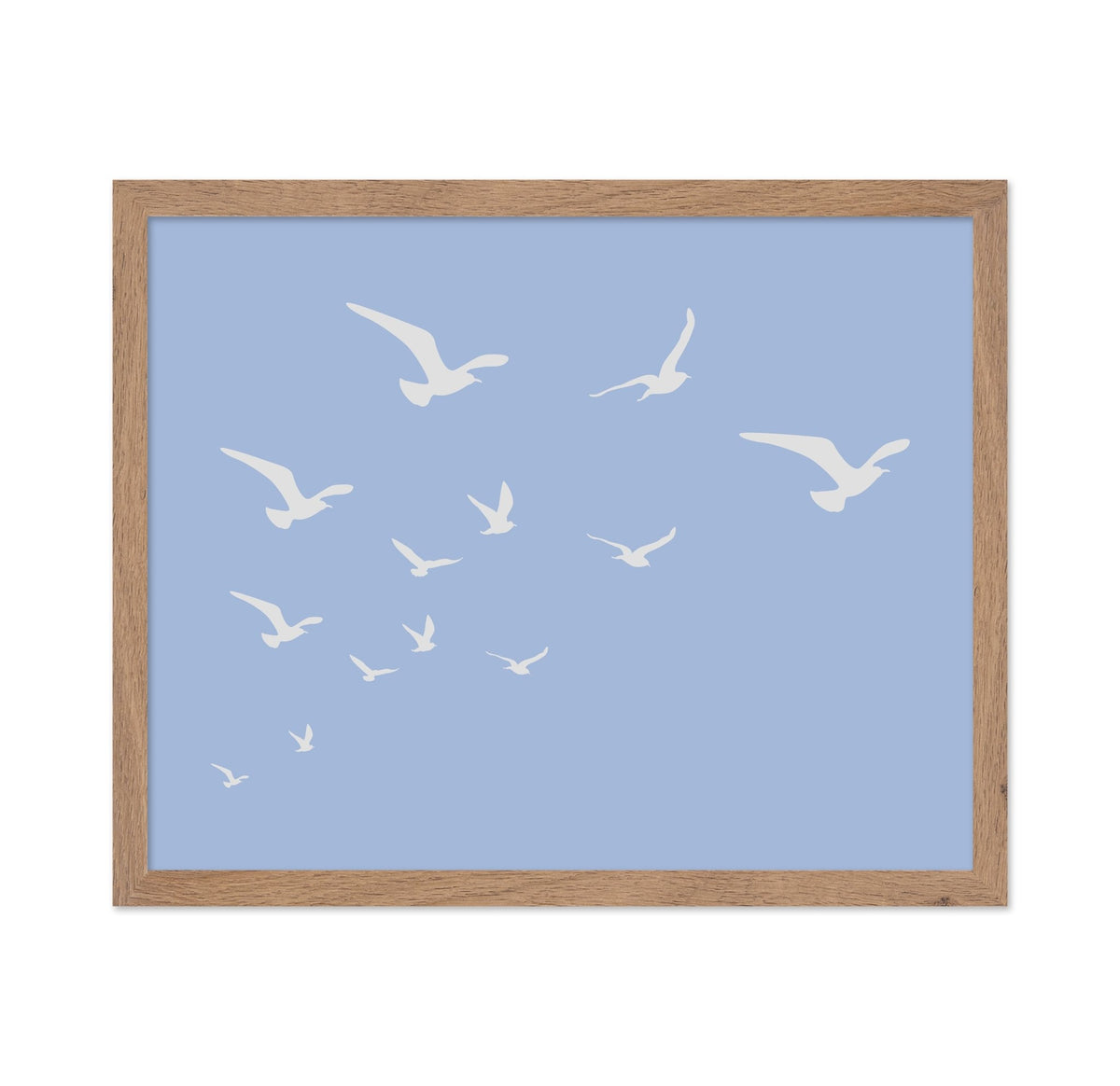 Seagulls Blue Background