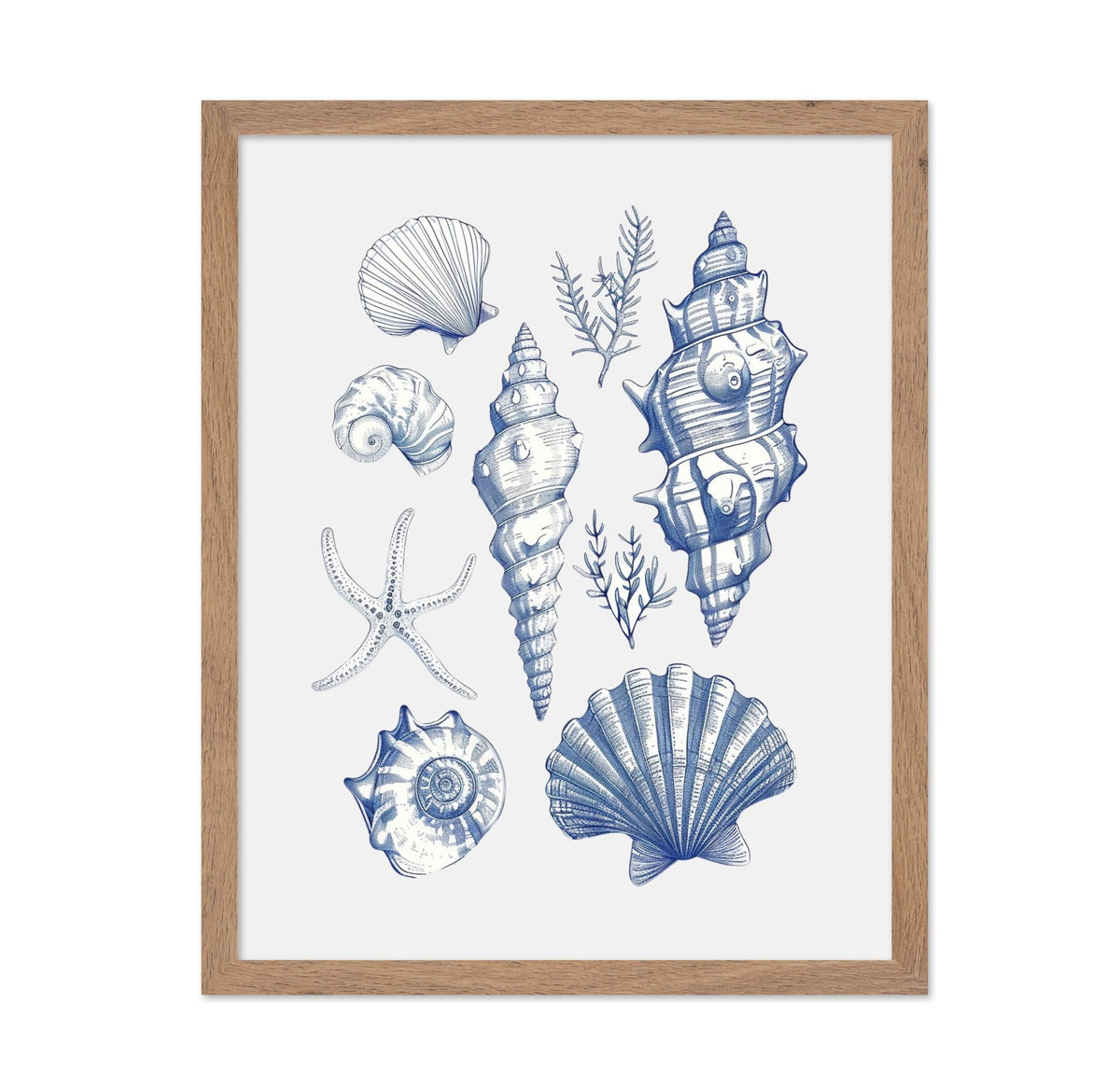 Shell Collage