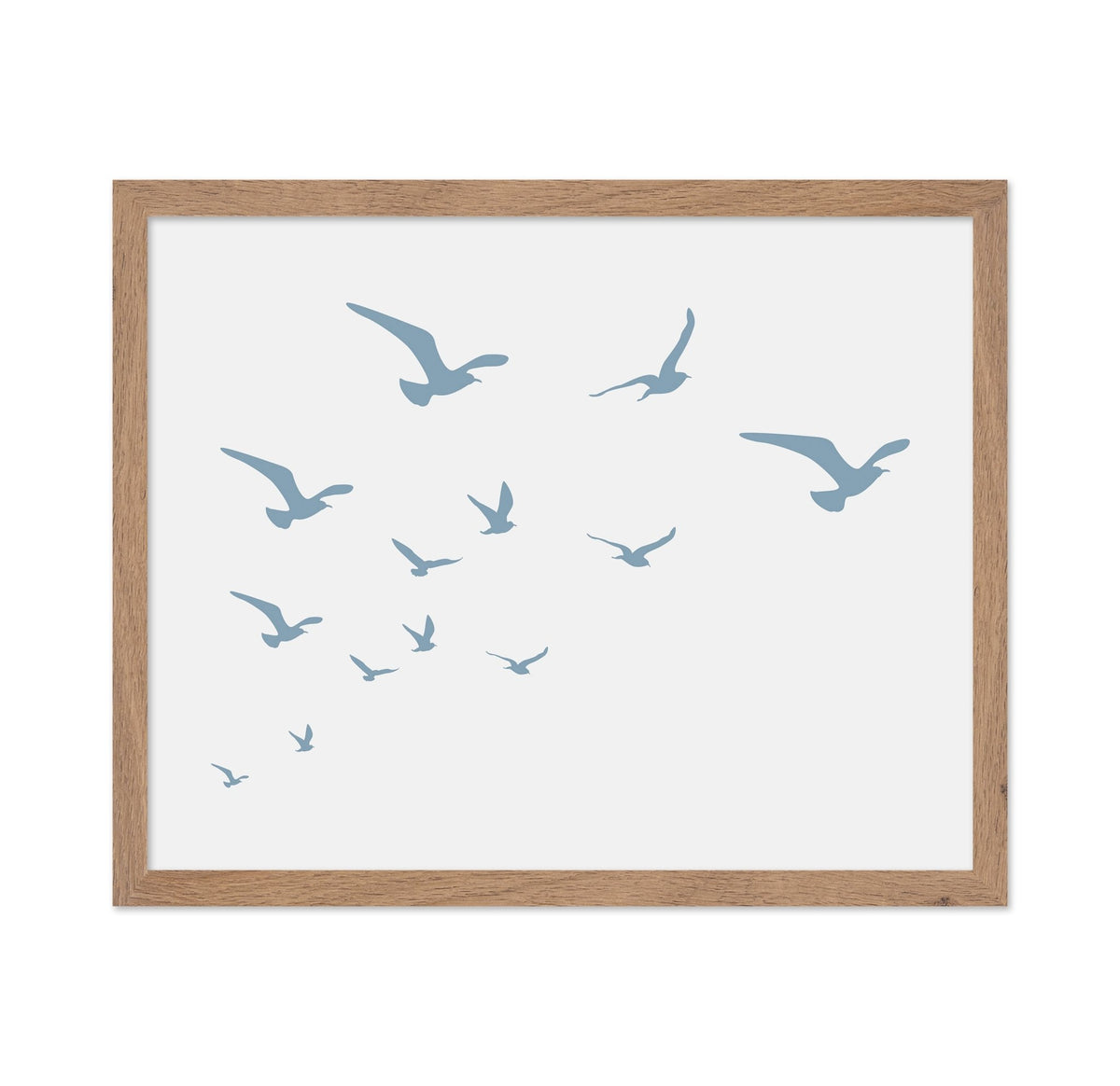 Seagulls White Background