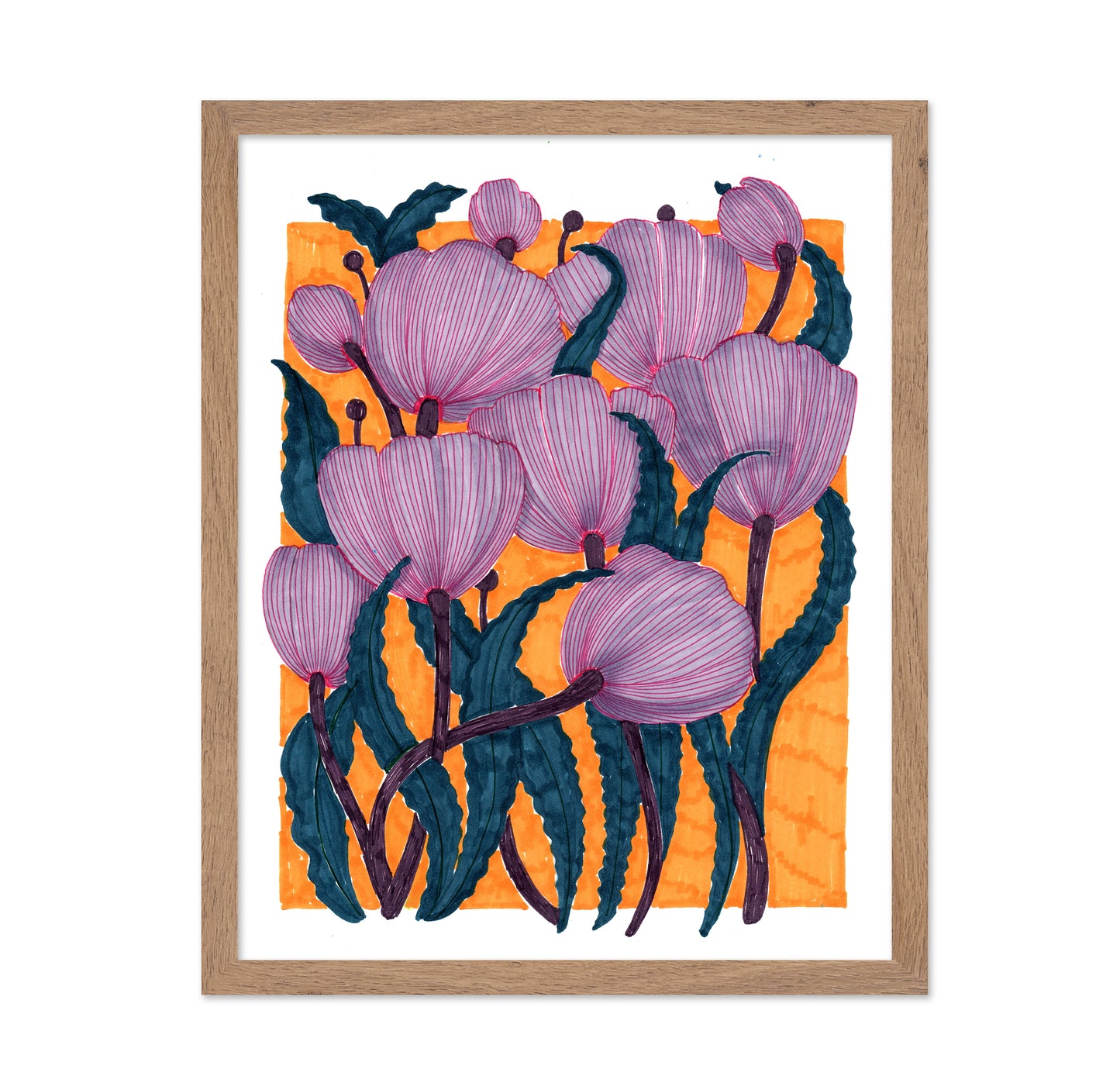 Purple Tulips