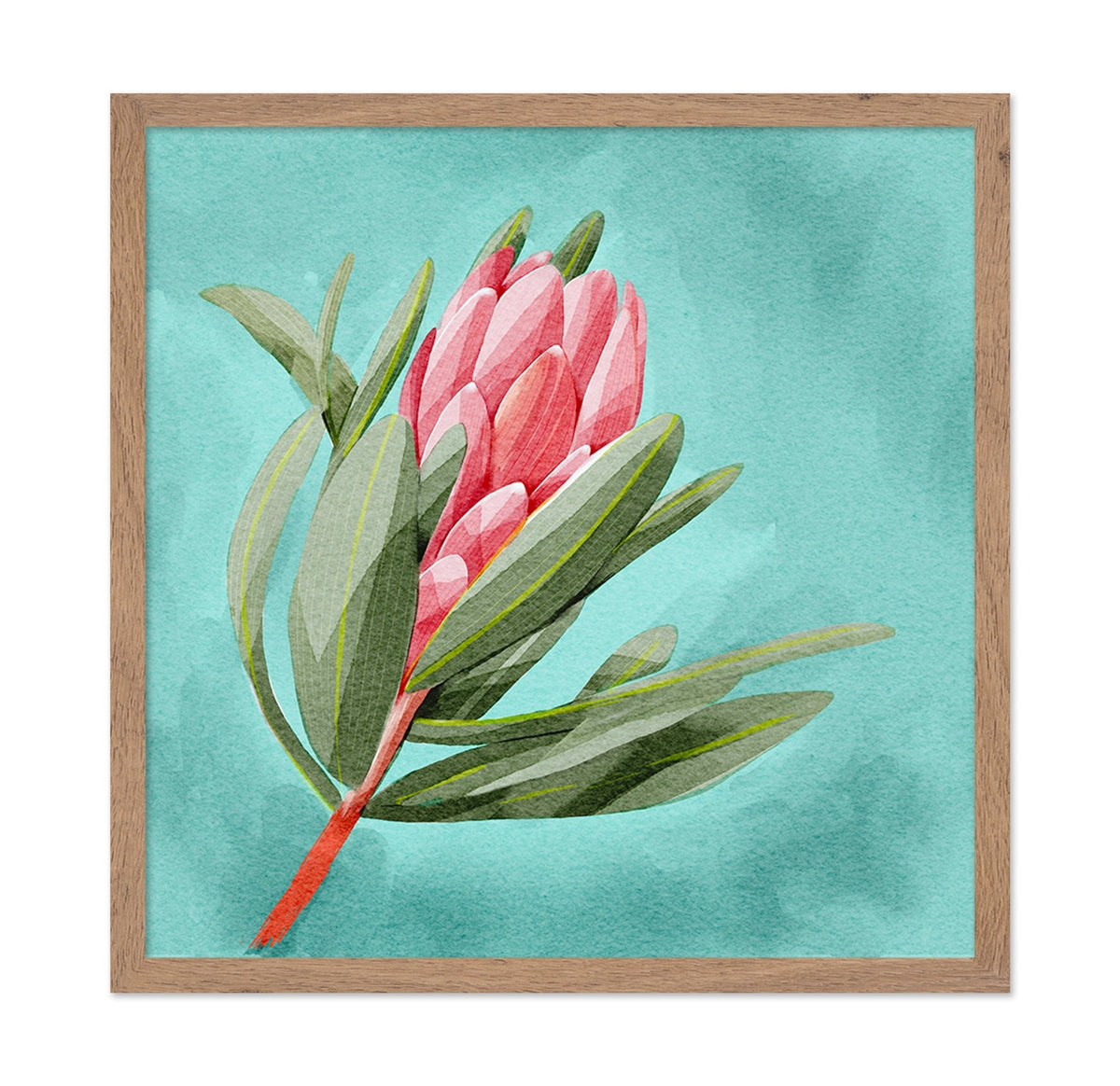 Protea