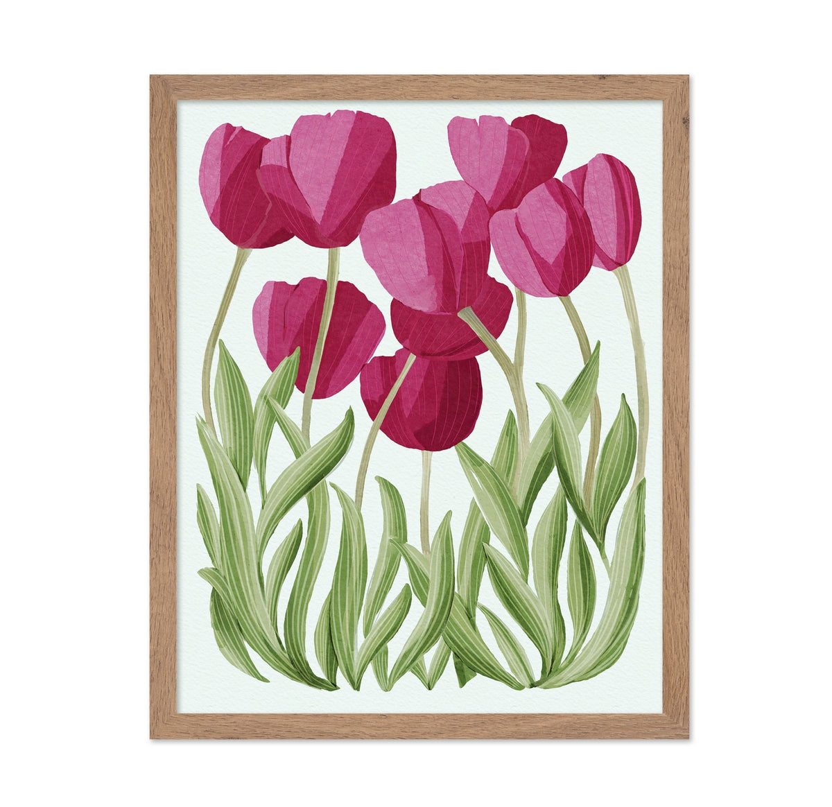 Tulips No 3