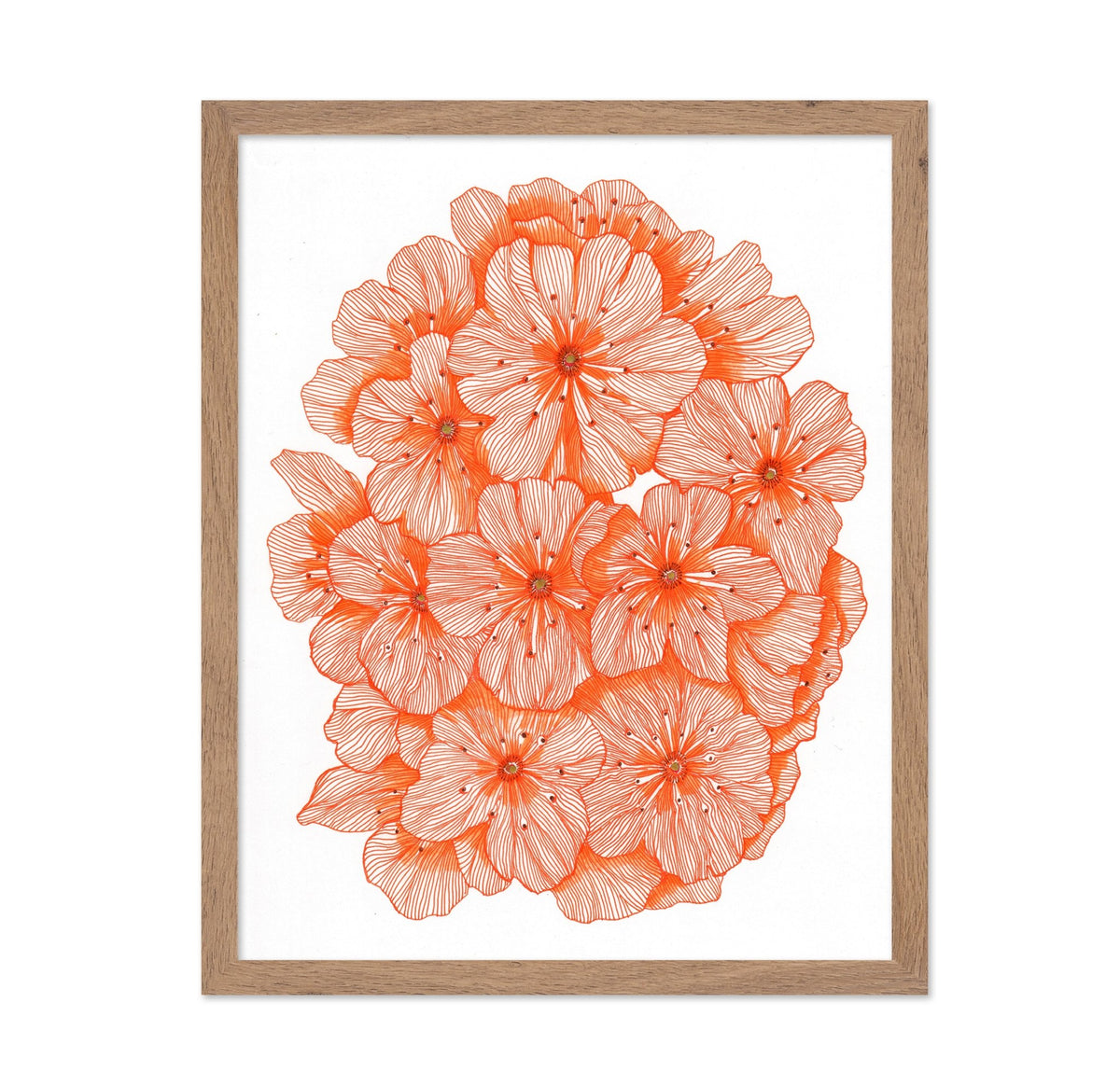 Big Orange Flowers