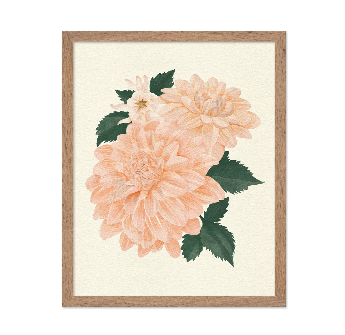 Pink Dahlia on Cream