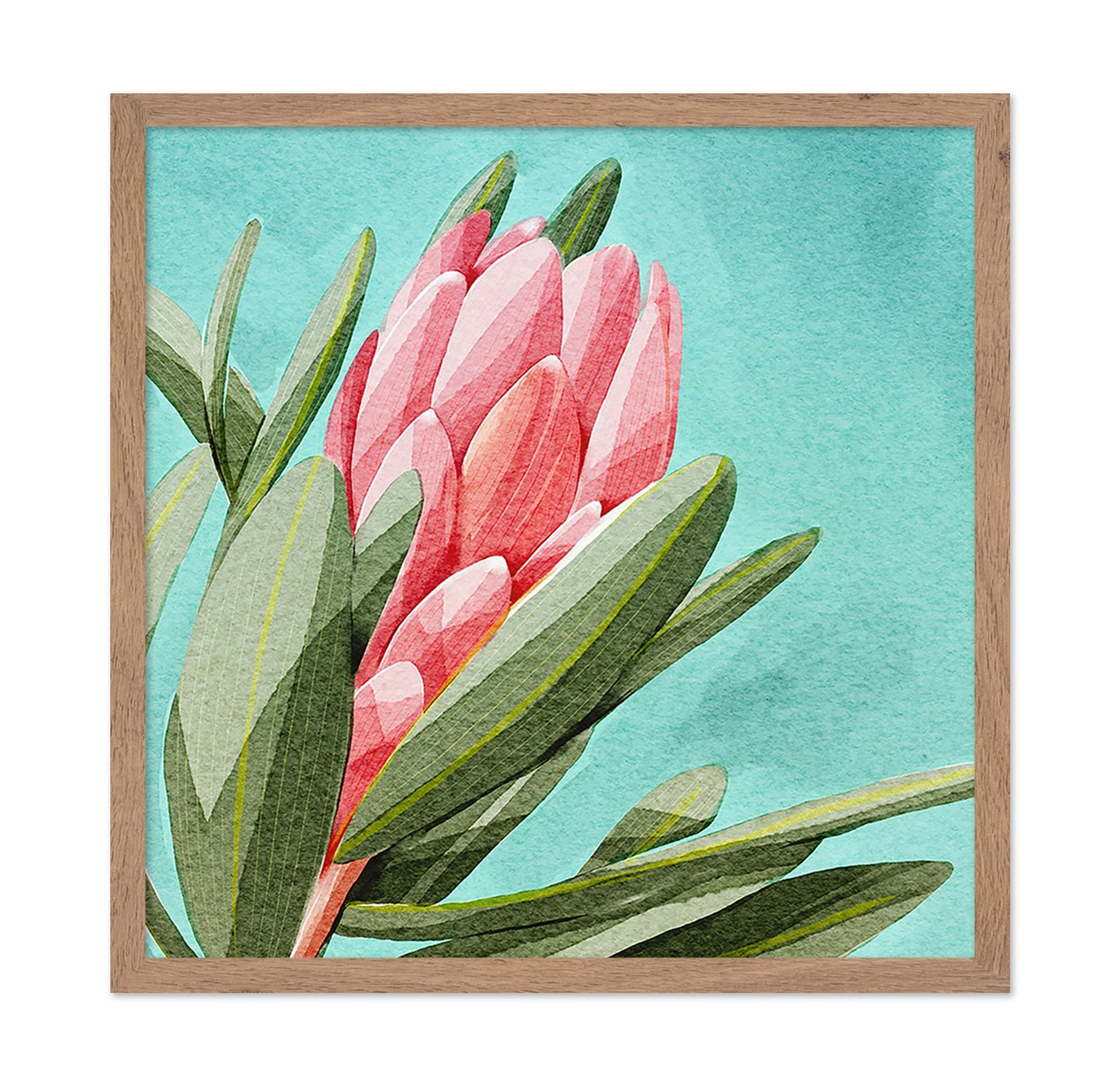 King Protea