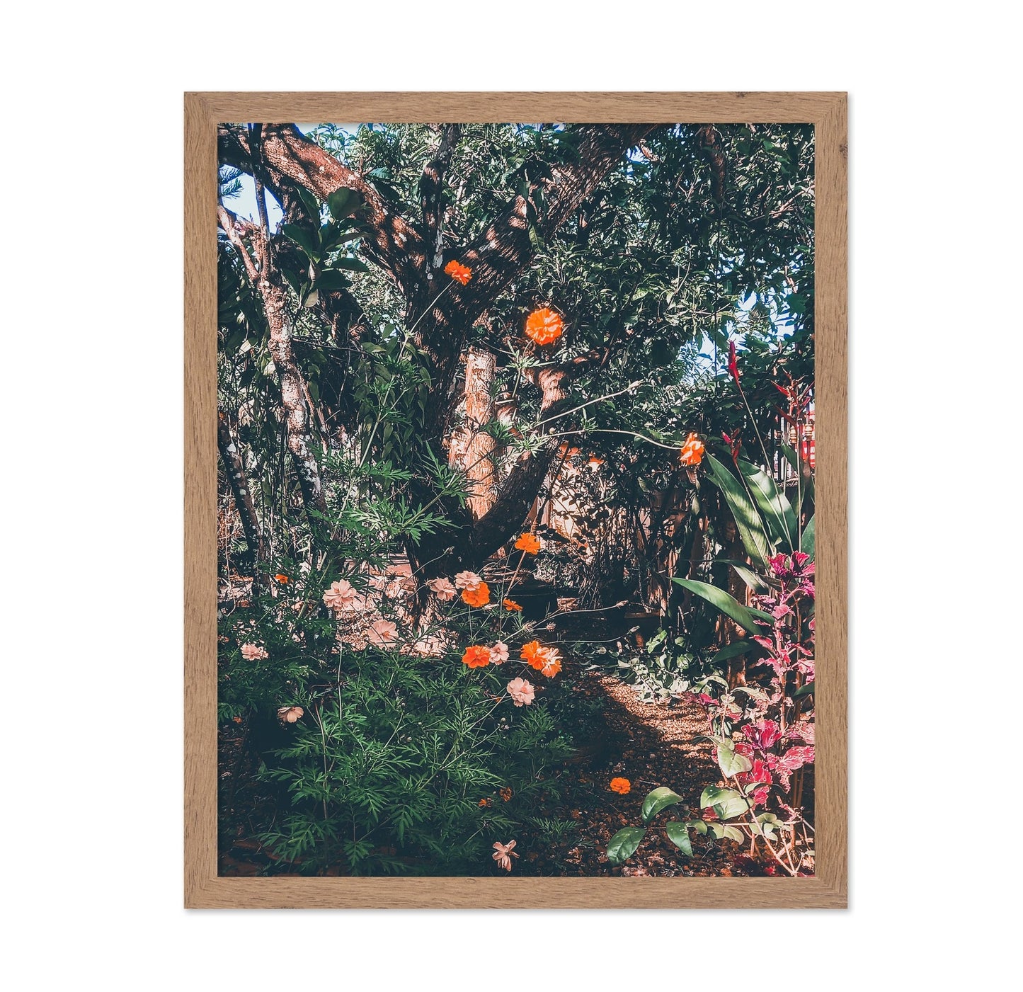 Garden Archives