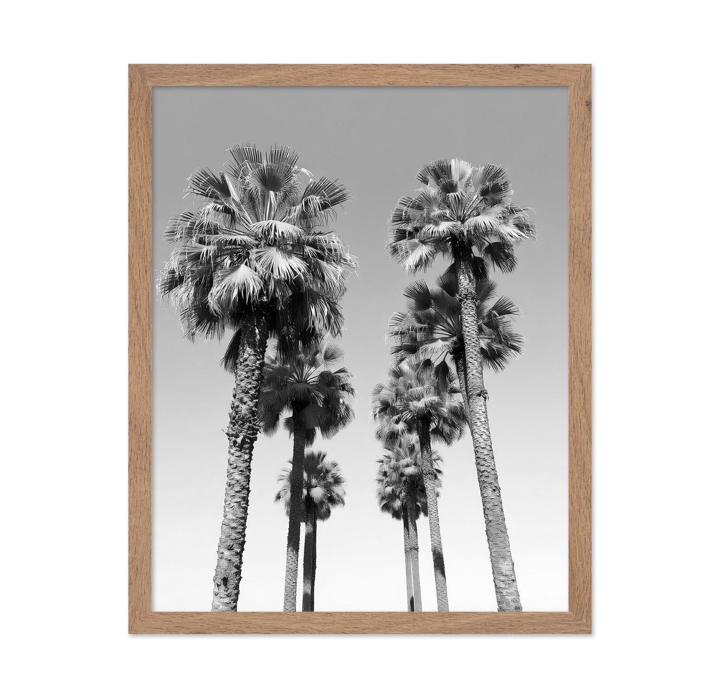 Palms Against the Endless Sky