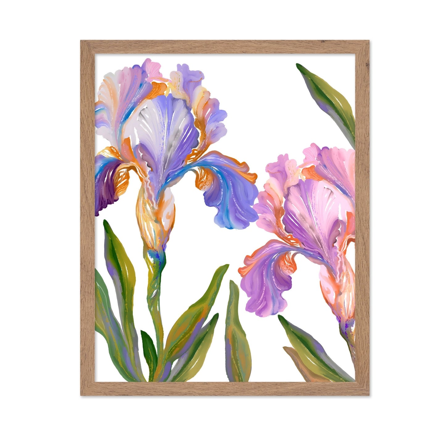 Watercolor Iris
