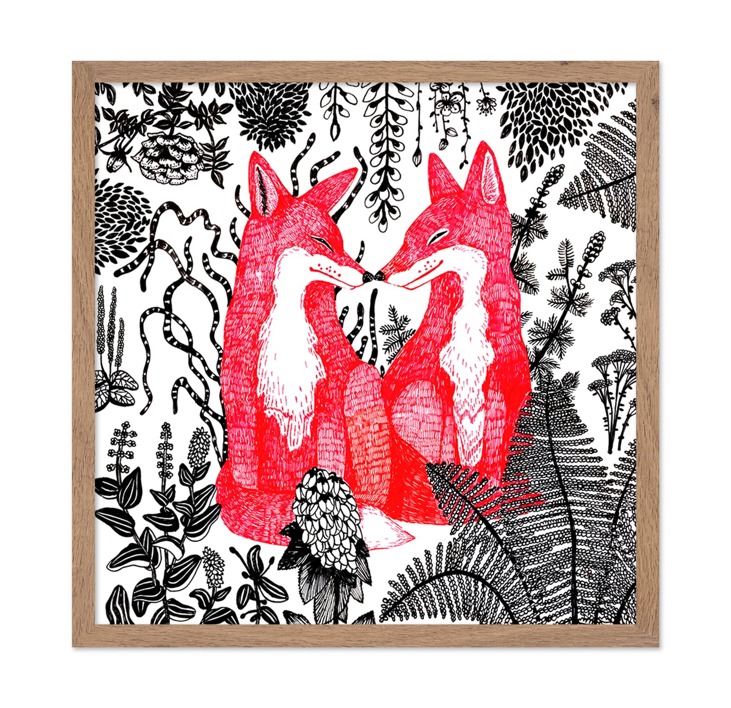 Foxes