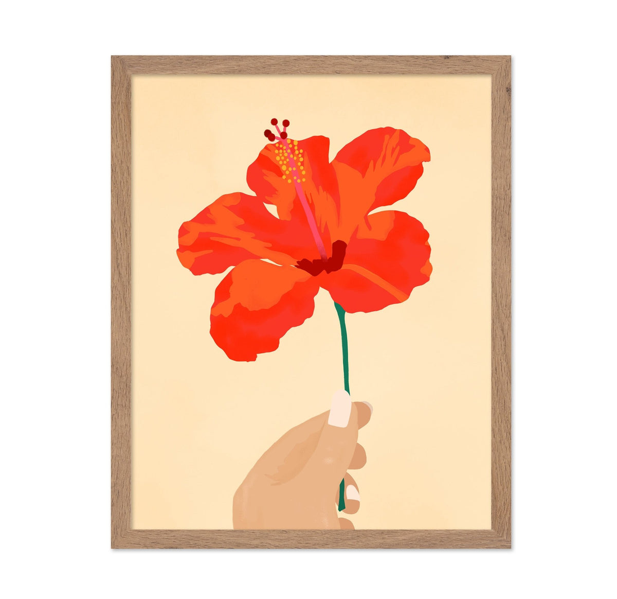 Hibiscus Affection