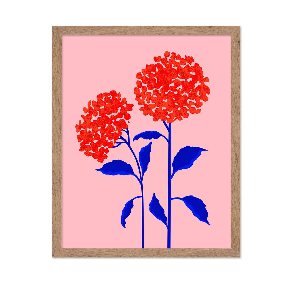 Orange Blossoms