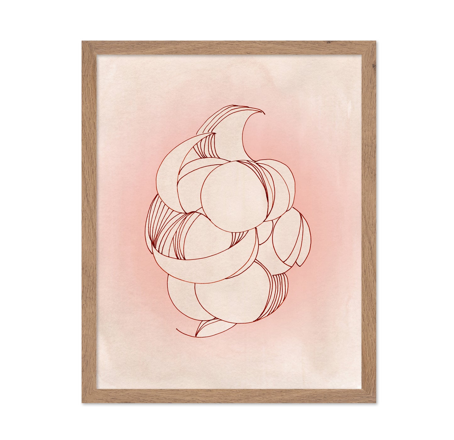Rose Calm Elegance