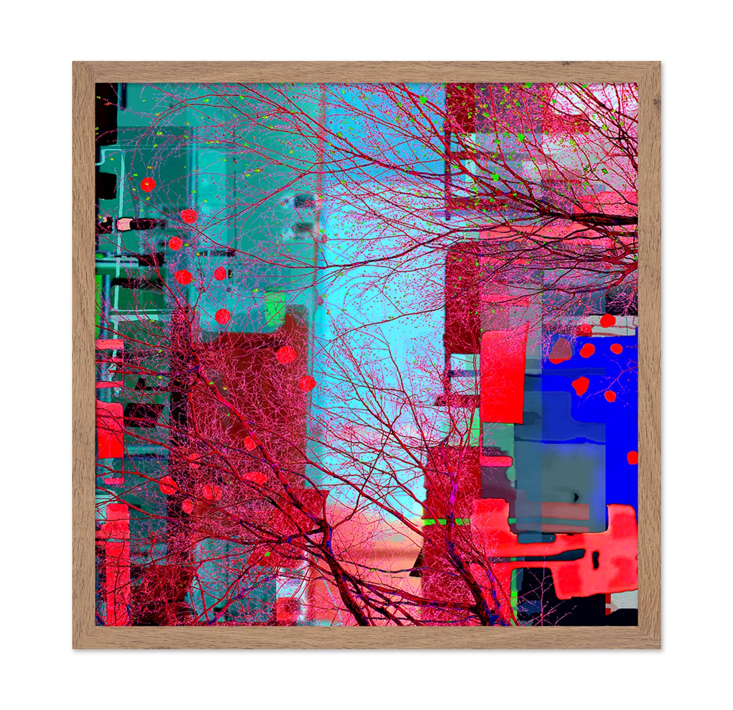 Vibrant Urban Web