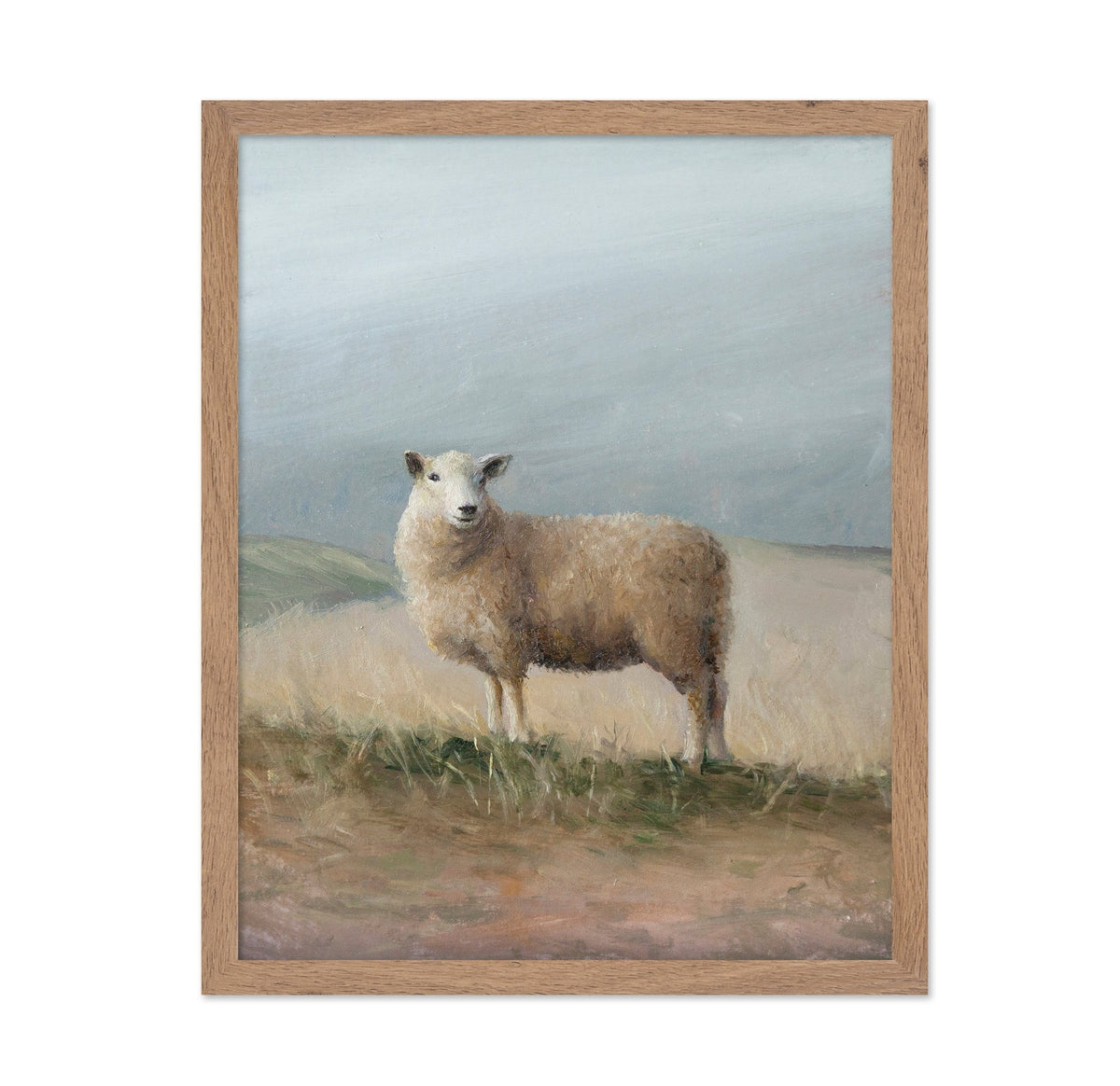 Sheep Study