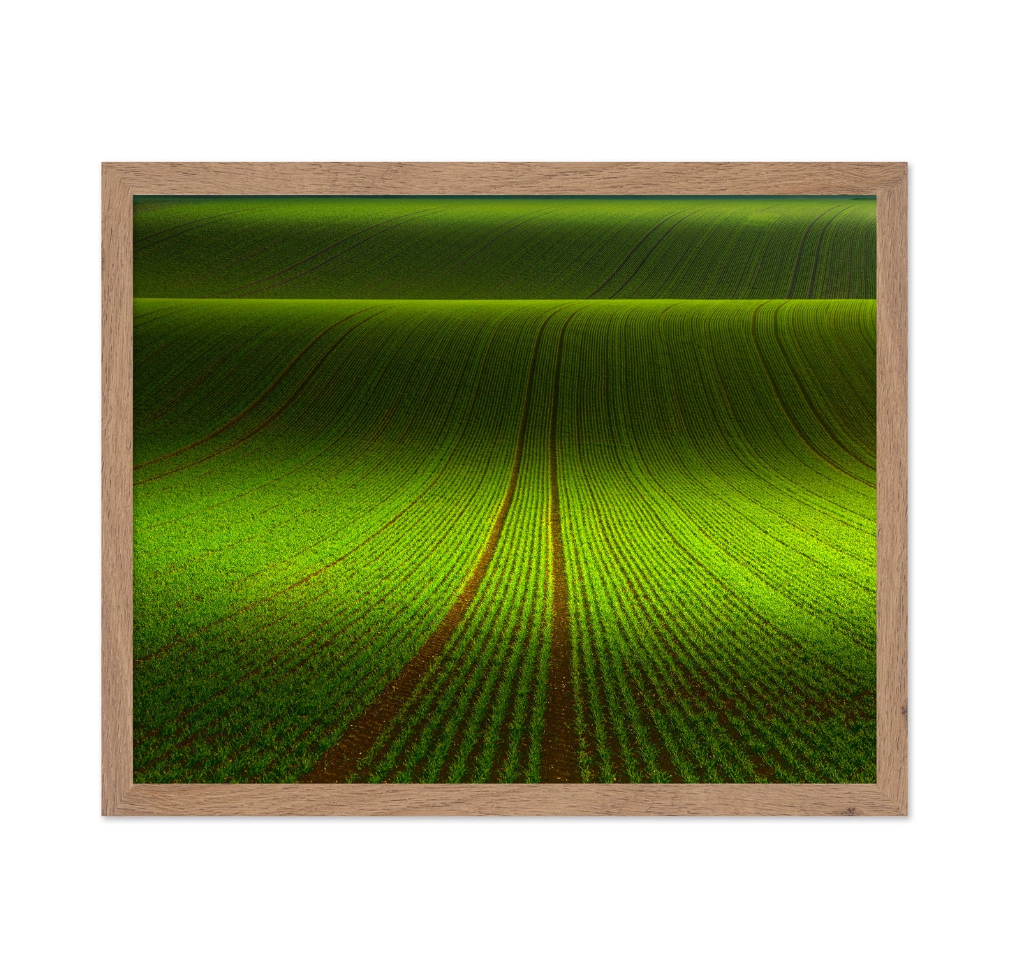 Green Field Patterns