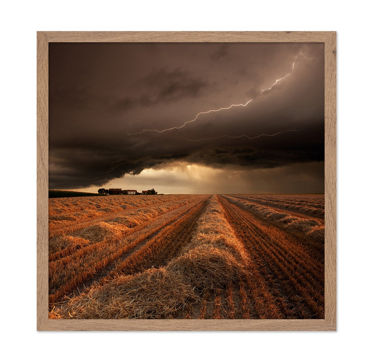 Lightning Over Fields