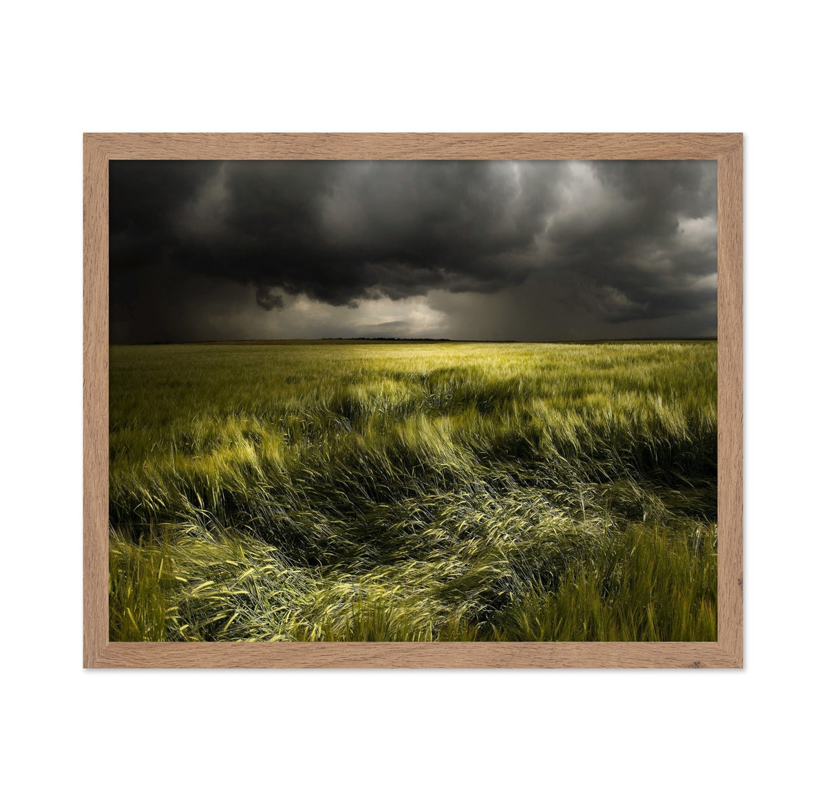 Storm Over Green Field