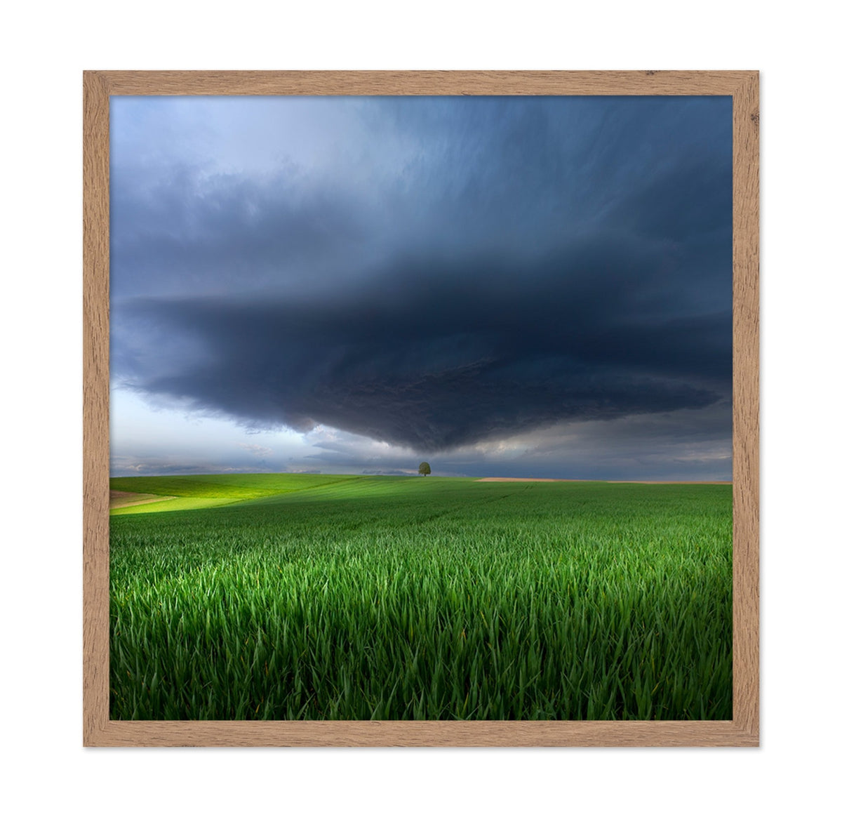 Thunderstorm Over Fields