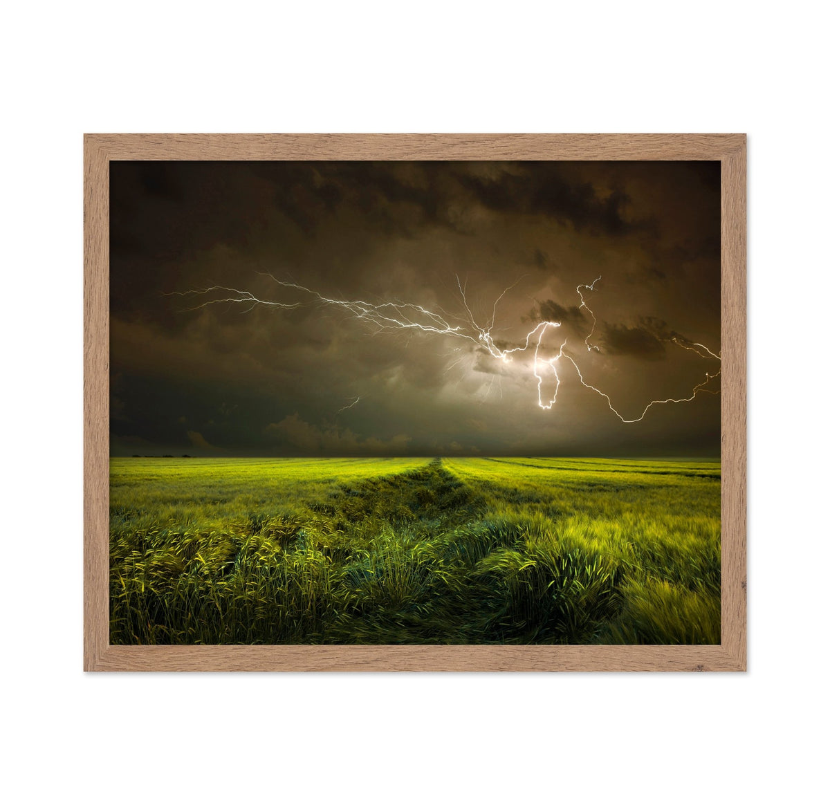 Lightning Over Green Field