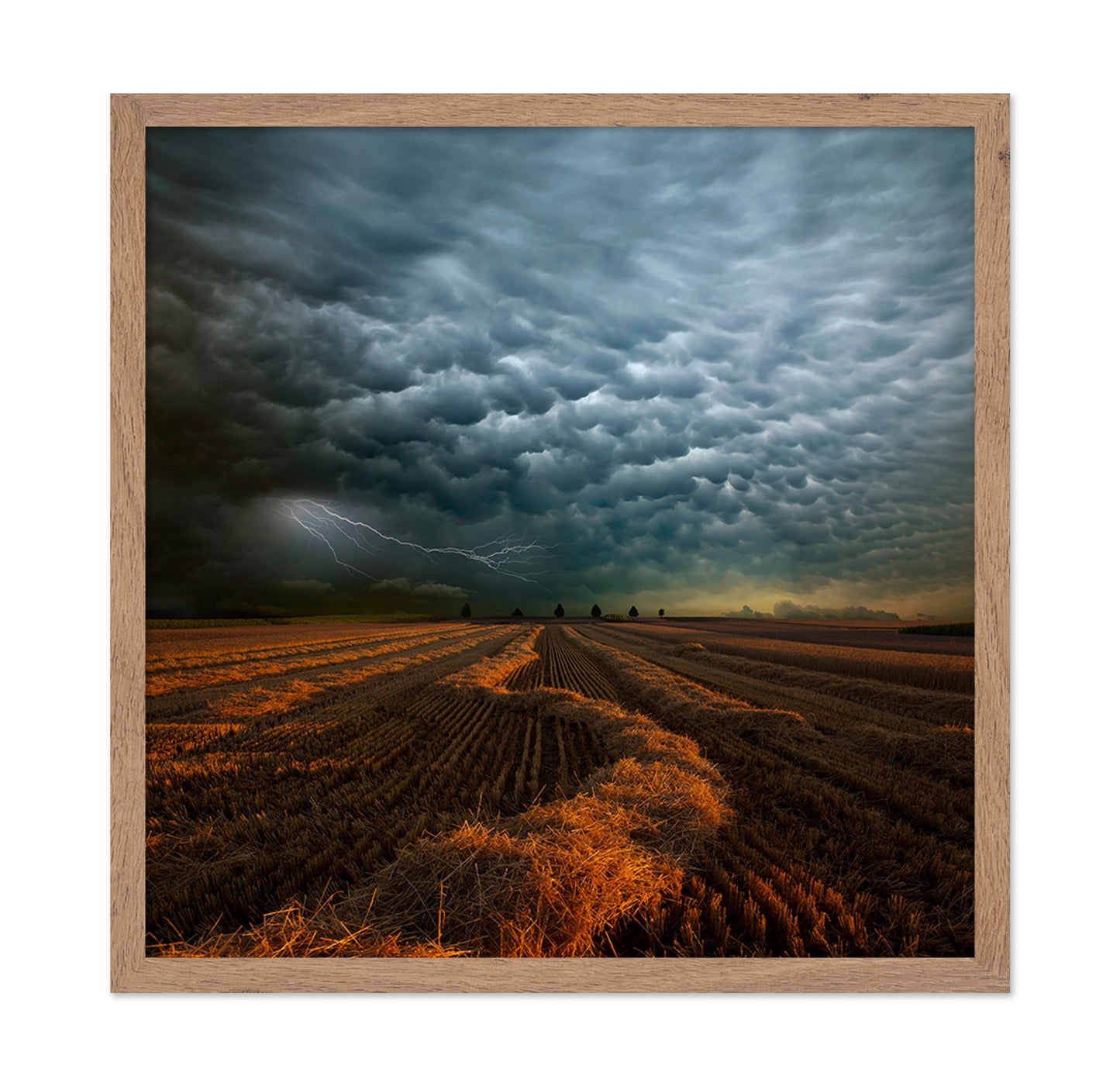 Storm Clouds Over Field