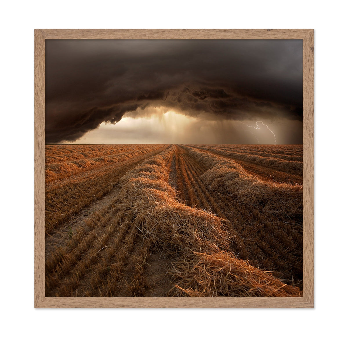 Storm Over Harvest Field