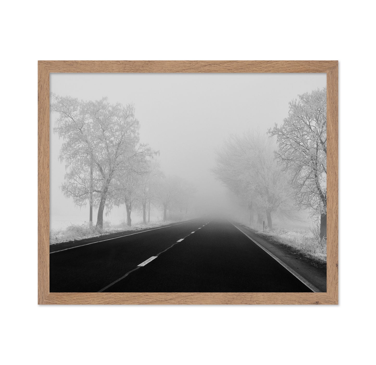 Foggy Winter Road