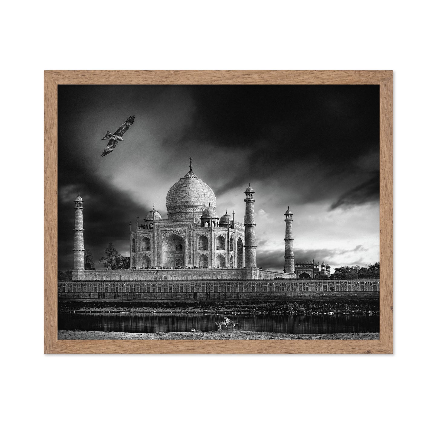 Taj Mahal River View