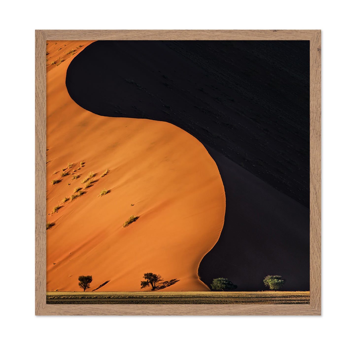 Desert Dune Light Shadow