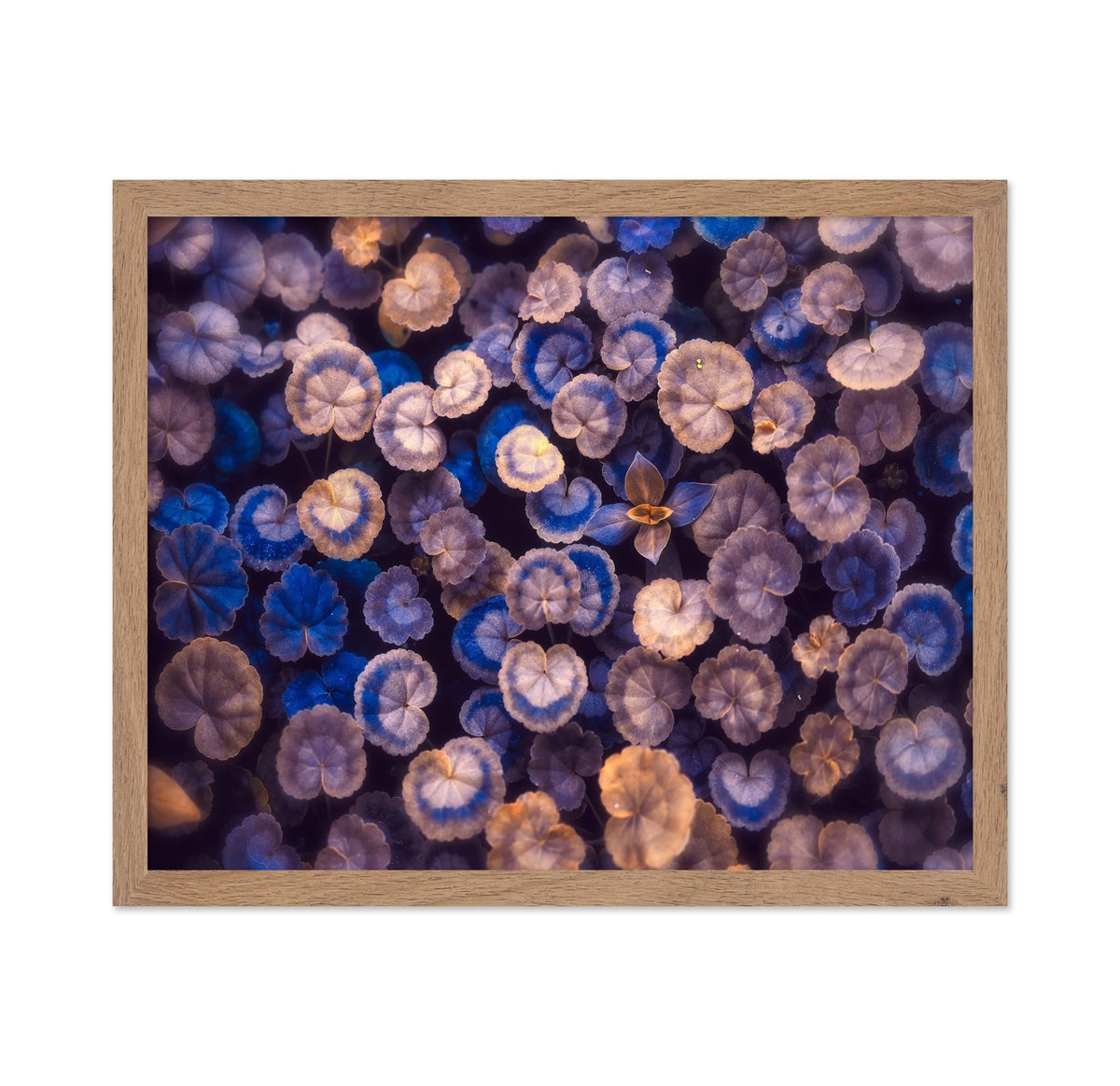 Blue Botanical Leaf Pattern