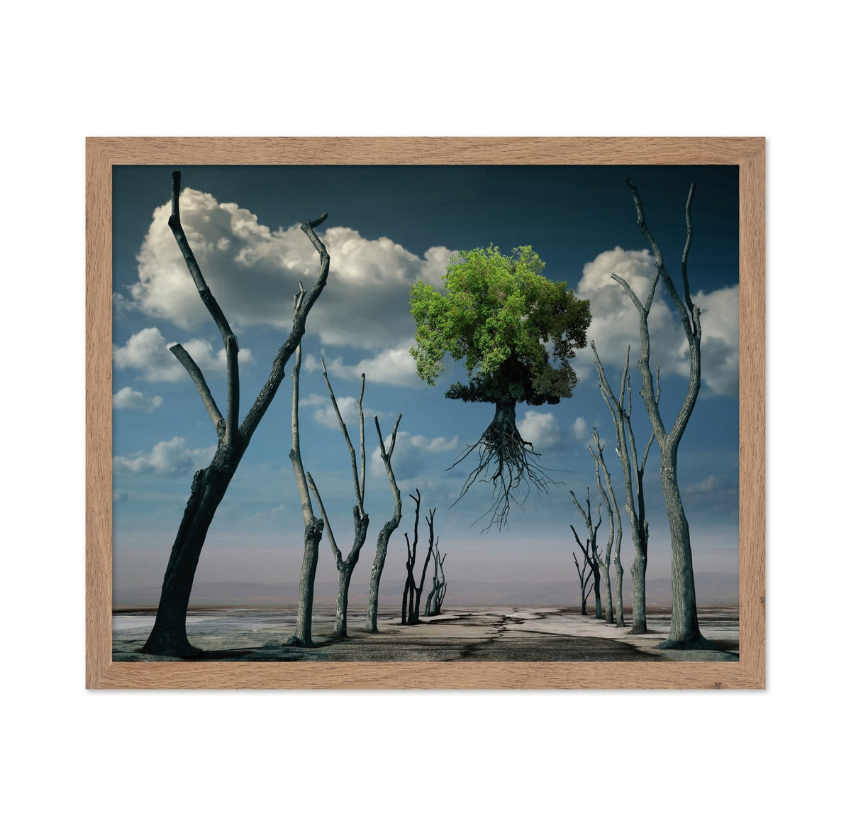 Floating Tree