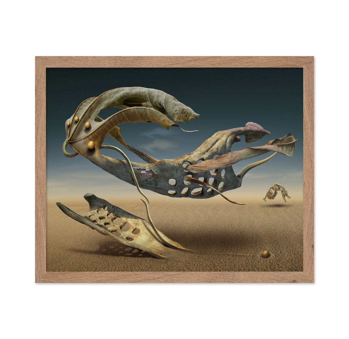 Surreal Desert Creature